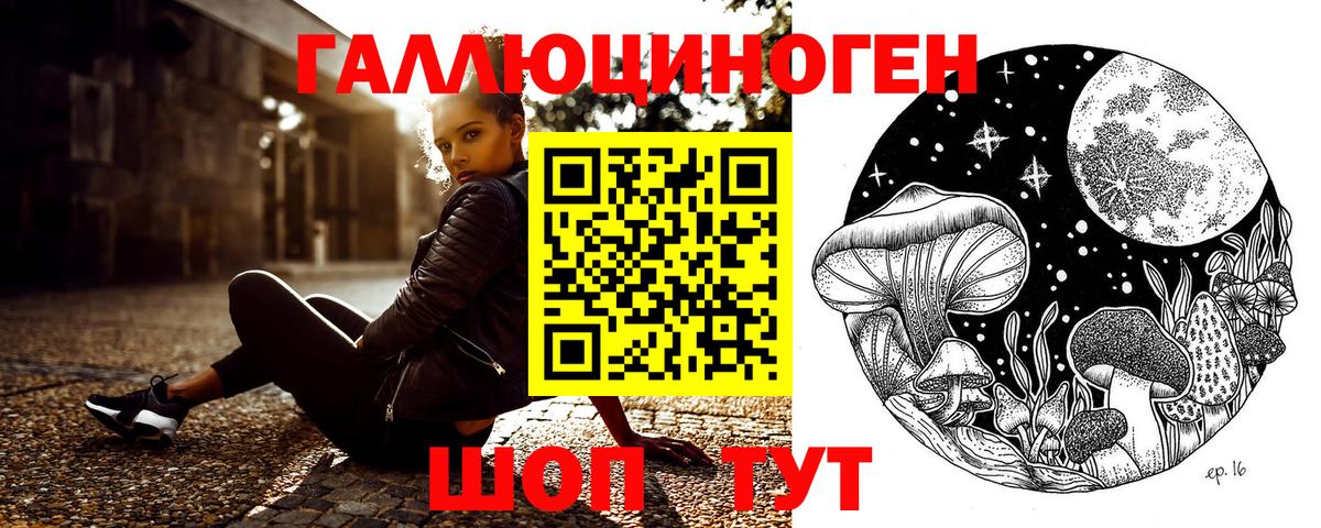 Галлюциногенные грибы Psilocybe Ялта